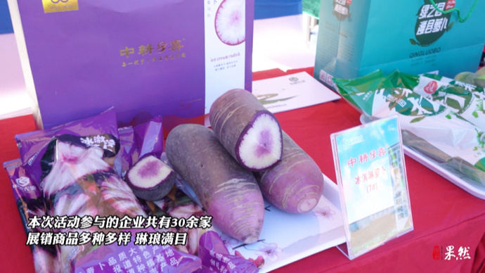 果然视频|潍坊萝卜哪家强？30多家企业请市民免费尝