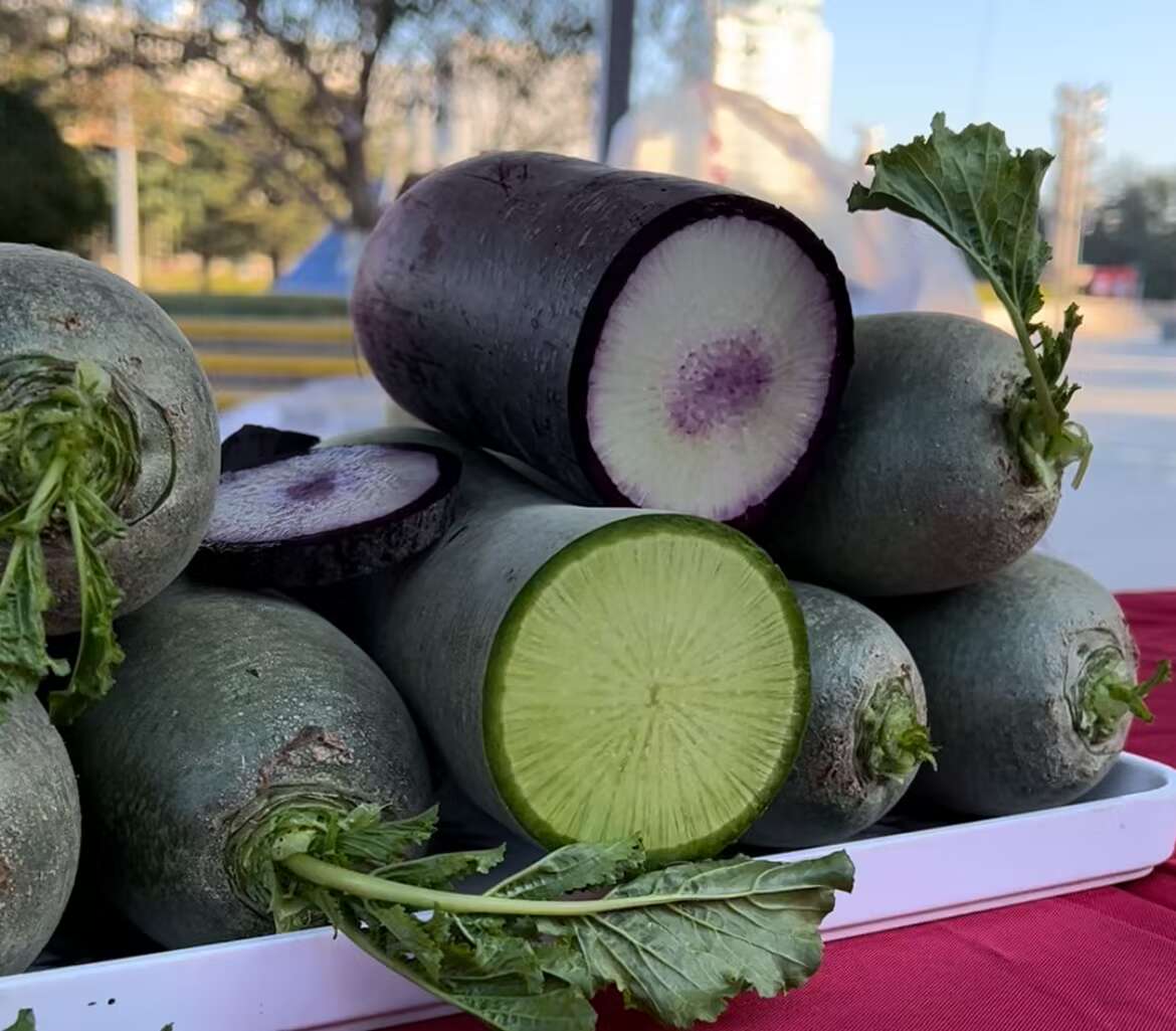 在潍坊，没有萝卜的冬天是不完整的