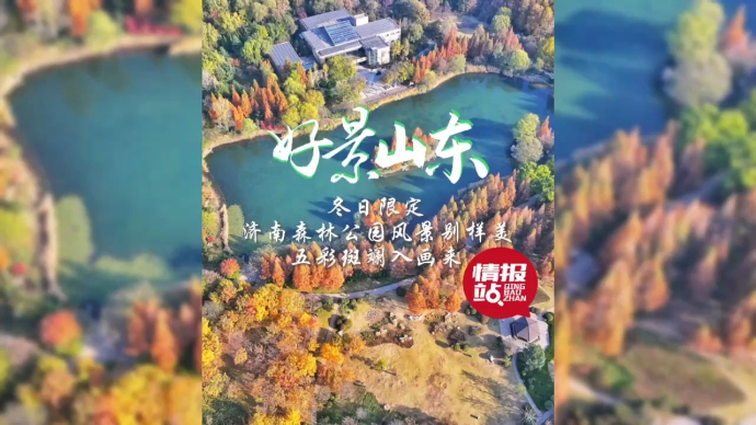 果然视频·好景山东|济南森林公园冬日别样美，五彩斑斓入画来！