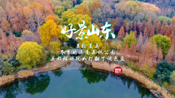 果然视频·好景山东|冬季的济南森林公园，五彩斑斓美轮美奂