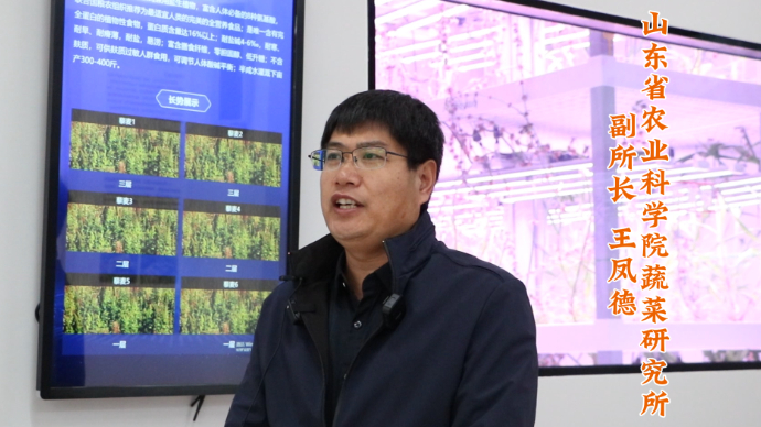 国家盐碱地综合利用技术创新中心“揭榜挂帅”专家访谈｜王凤徳