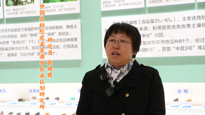 国家盐碱地综合利用技术创新中心“揭榜挂帅”专家访谈｜张晓霞