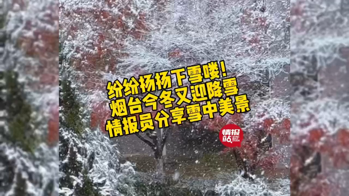 果然视频|纷纷扬扬下雪喽！烟台今冬又迎降雪，情报员分享雪中景