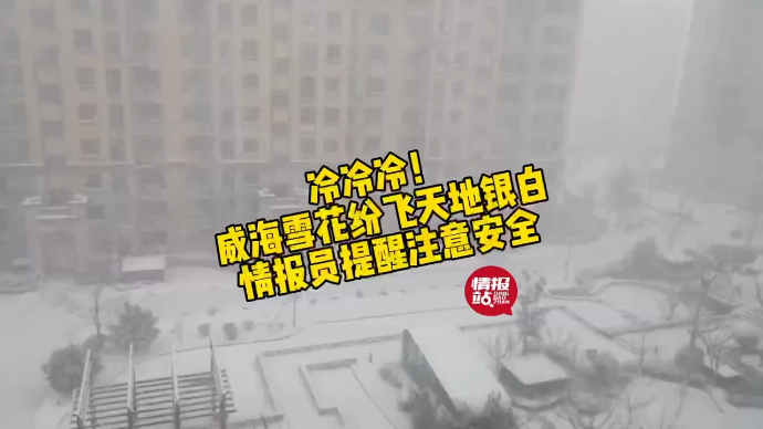 果然视频|雪窝发威！威海漫天大雪一片银白，情报员提醒注意安全