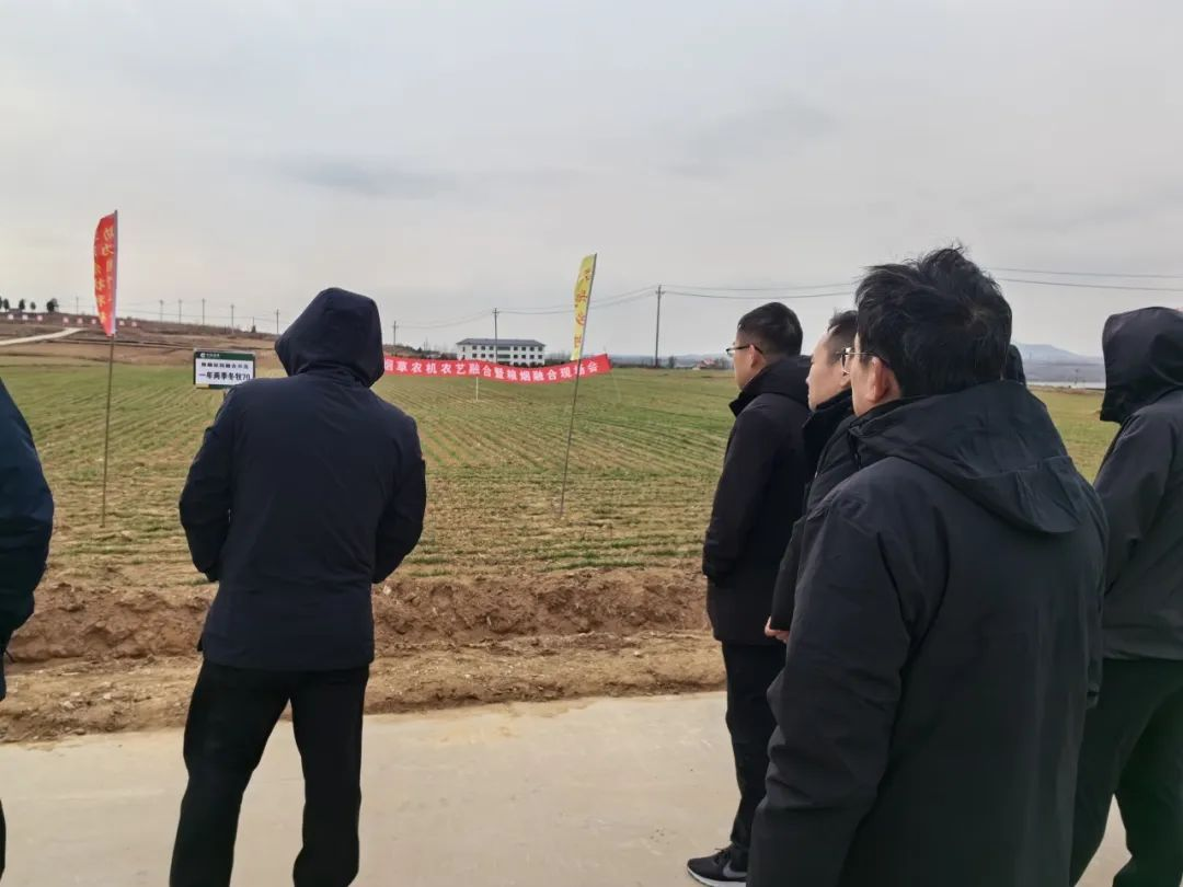 推动烟草产业高质量发展莒南县壮岗镇举行粮烟融合现场会