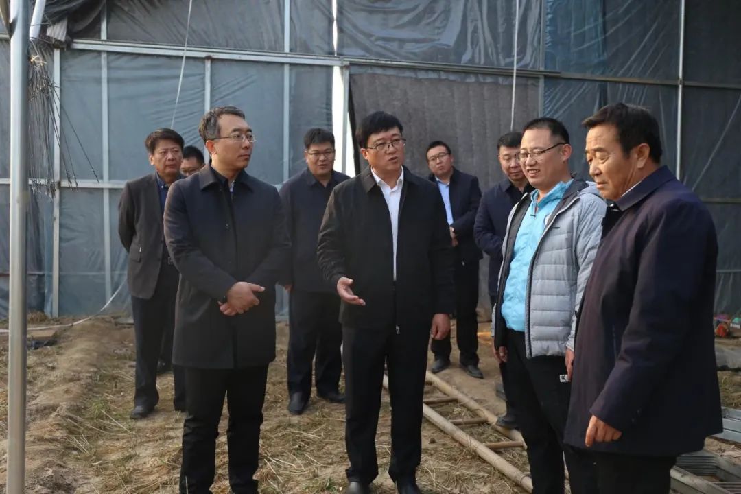 滨州市自然资源规划局长赵增永到市派"第一书记"村走访调研-齐鲁晚报