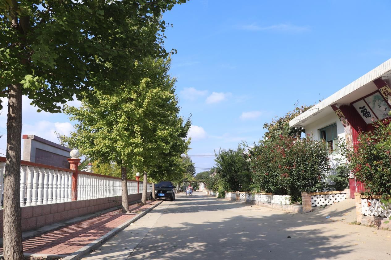 牟平大窑街道胡家庄村:塑形铸魂,描绘和美乡村新画卷-齐鲁晚报网