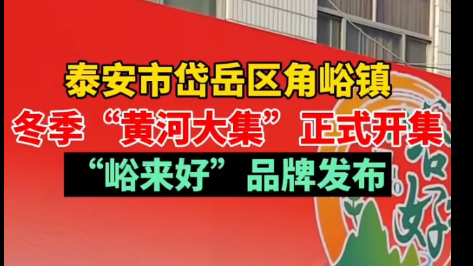 泰安岱岳区角峪镇冬季“黄河大集”正式开集，“峪来好”品牌发布