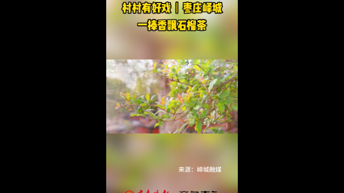 村村有好戏丨枣庄峄城一捧香飘石榴茶