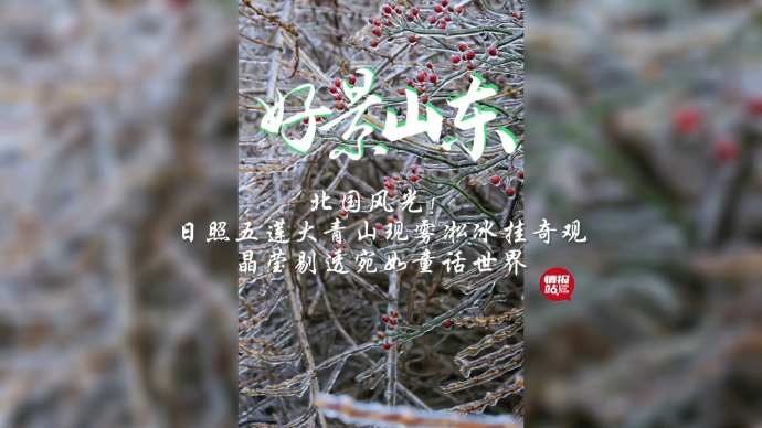 果然视频·好景山东|日照大青山现雾凇冰挂！晶莹剔透像童话世界