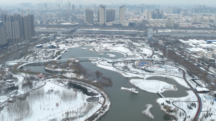 果然视频｜雪后的德州太美了！公园景色宛如水墨画