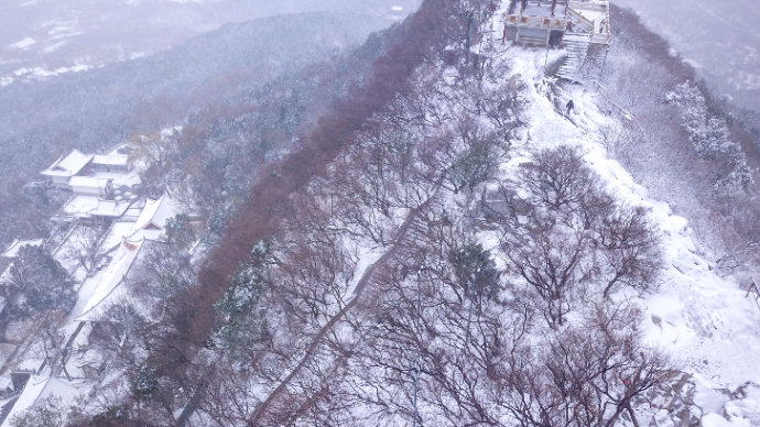 果然视频|航拍雪中济南千佛山，如此大雪也有登顶人