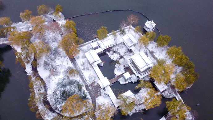 果然视频|雪后济南大明湖，水岸相接，房屋树木色彩淡雅