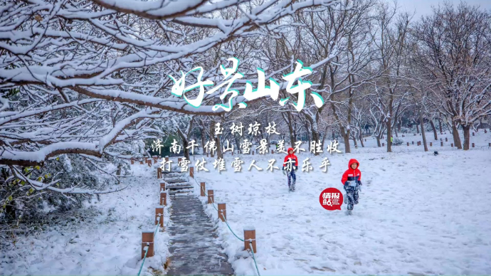 果然视频·好景山东|济南千佛山满树琼枝，打雪仗堆雪人不亦乐乎