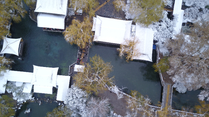 果然视频|济南趵突泉雪后美景，仿佛一幅古画般优雅从容 