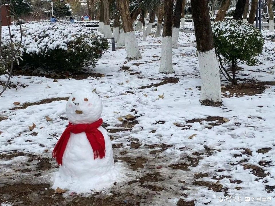 来了！山服学子专属冬雪图上新