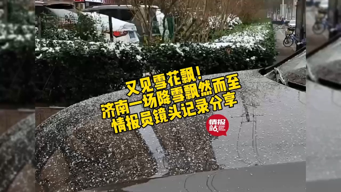 果然视频|又见雪花飘！济南一场降雪飘然而至，壹粉镜头记录分享