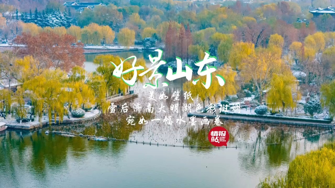 果然视频·好景山东|雪后济南大明湖色彩斑斓，宛如一幅水墨画卷