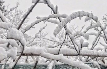 下雪天科普帖！一片雪花到底有多重
