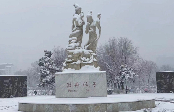 菏泽这些地方发布闭园公告！