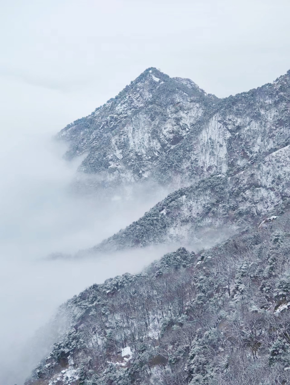 雪落泰安！堪称大自然巅峰之作！