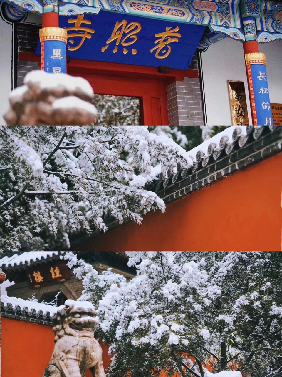 雪落泰安！堪称大自然巅峰之作！