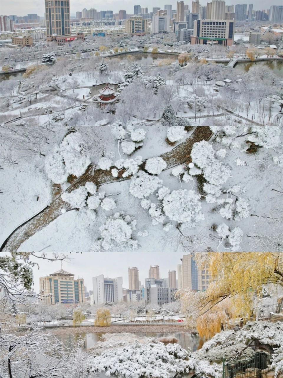 雪落泰安！堪称大自然巅峰之作！