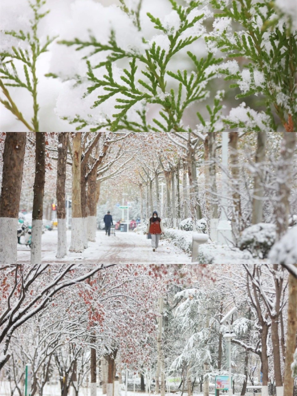 雪落泰安！堪称大自然巅峰之作！