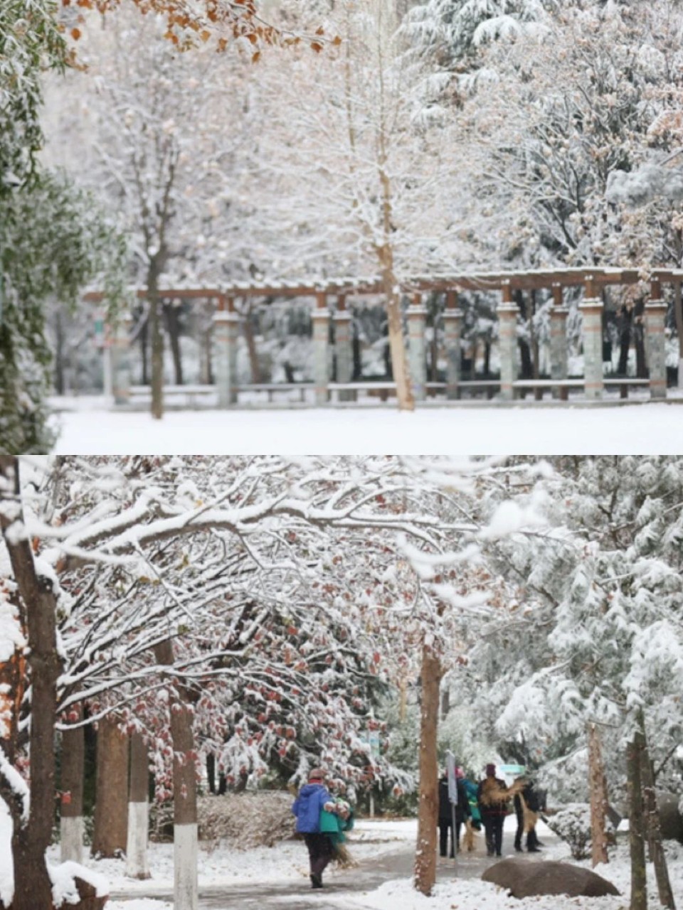 雪落泰安！堪称大自然巅峰之作！