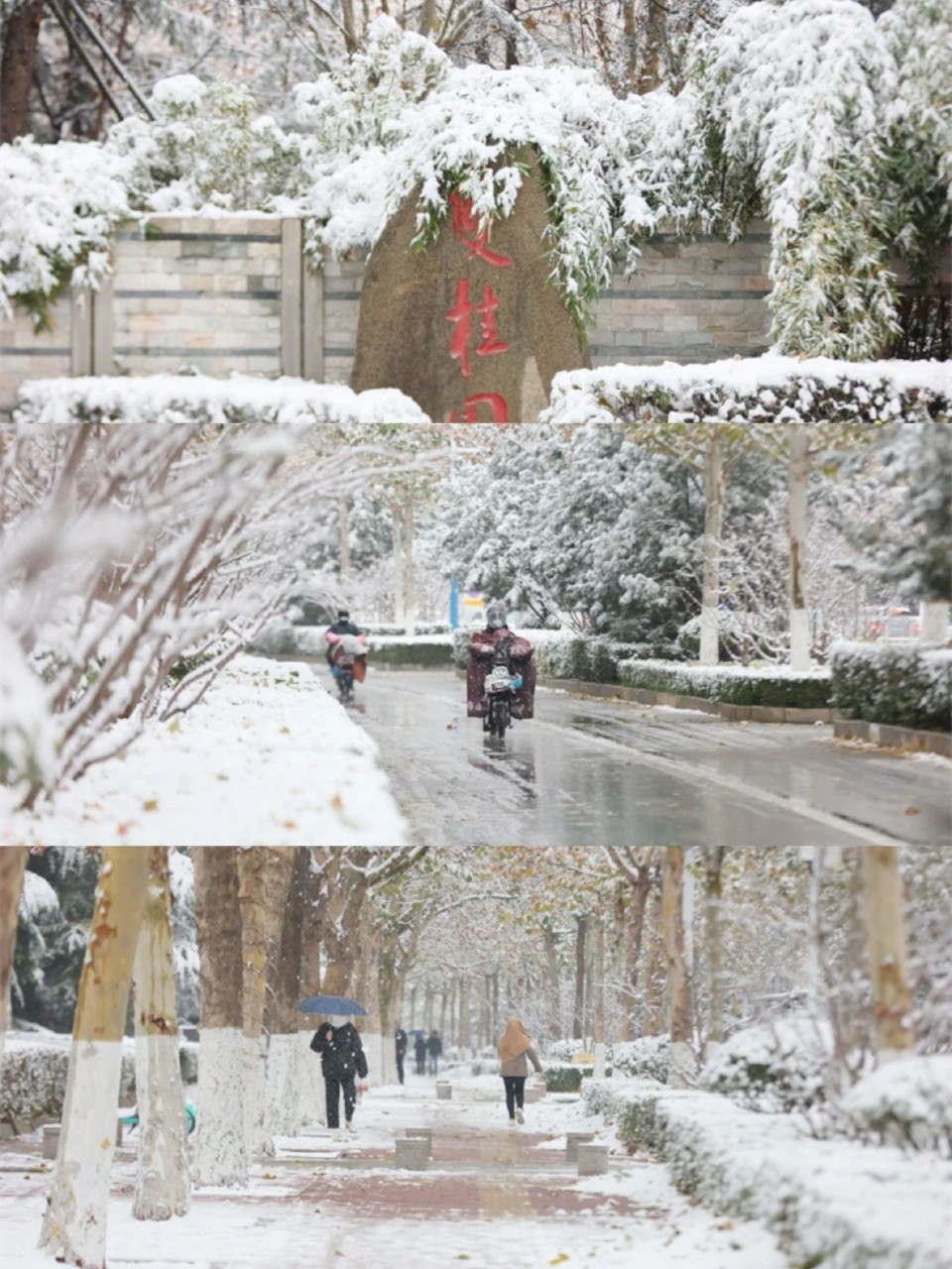 雪落泰安！堪称大自然巅峰之作！