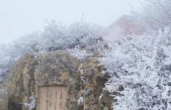 冬季旅游必打卡！泰山之巅一到冬天就美出天际