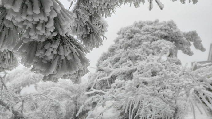 美是真美，安全第一，泰山景区为迎战寒潮暂停开放