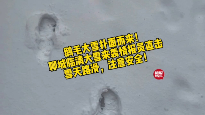 情报站|来了！鹅毛大雪扑面而来，聊城临清等地雪花已漫天飞舞