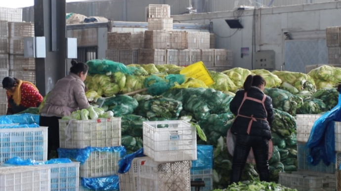 壹直播|暴雪来了，聊城市民的菜篮子供应是否充足？记者实地探访