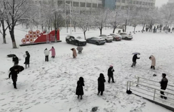 雪地里撒欢，沉浸式玩雪