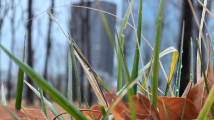 果然视频｜雪还下吗？泰安最新预报发布