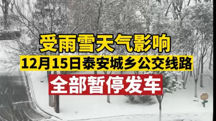 果然视频|今天（12月15日）泰安城乡公交线路全部暂停发车