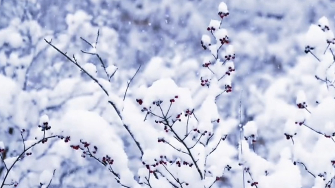 果然视频|烟台此次寒潮降雪，预计持续时间一周左右