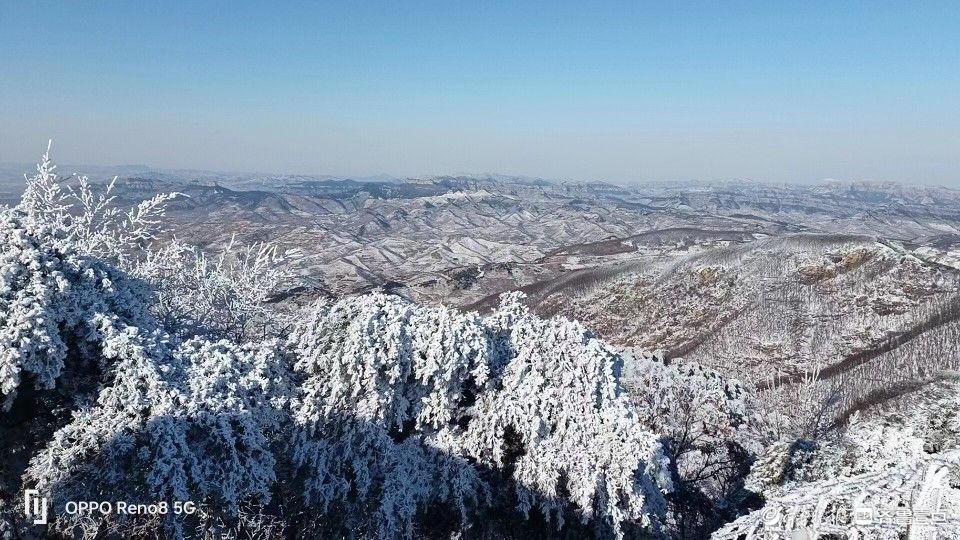 壹圖集玉樹瓊花泰山玉泉寺現雪松奇觀