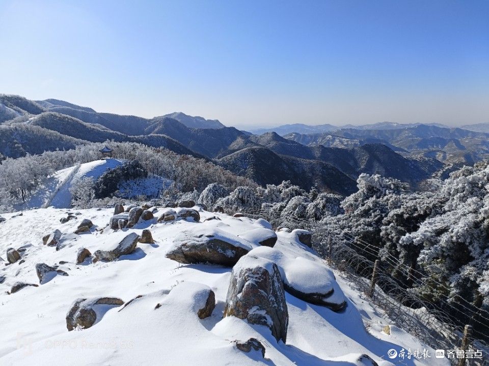 壹圖集玉樹瓊花泰山玉泉寺現雪松奇觀