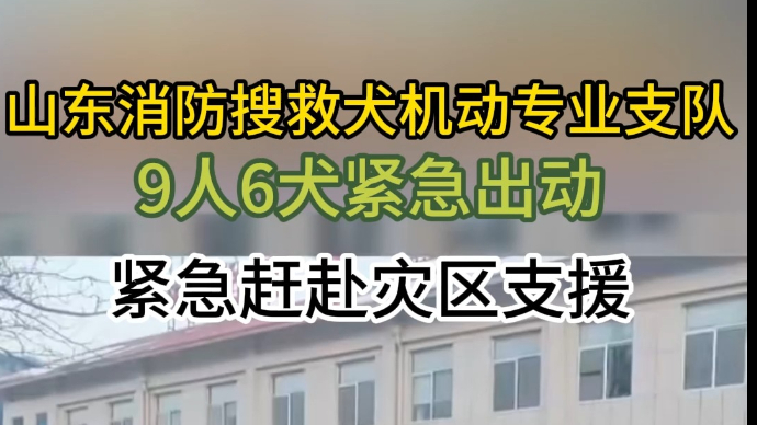 果然视频|山东消防搜救犬机动支队9人6犬，紧急赶赴灾区支援