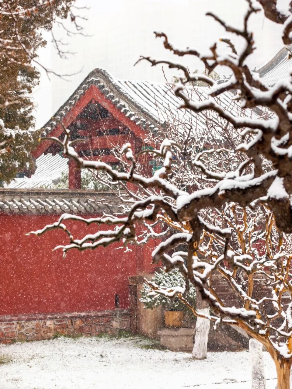 红墙黛瓦落白雪，感受岱庙千年岁月的沉淀