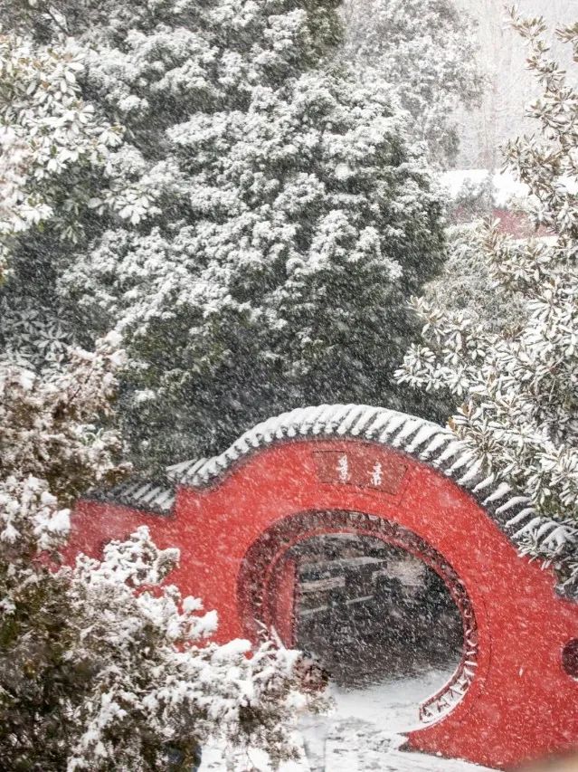 红墙黛瓦落白雪，感受岱庙千年岁月的沉淀