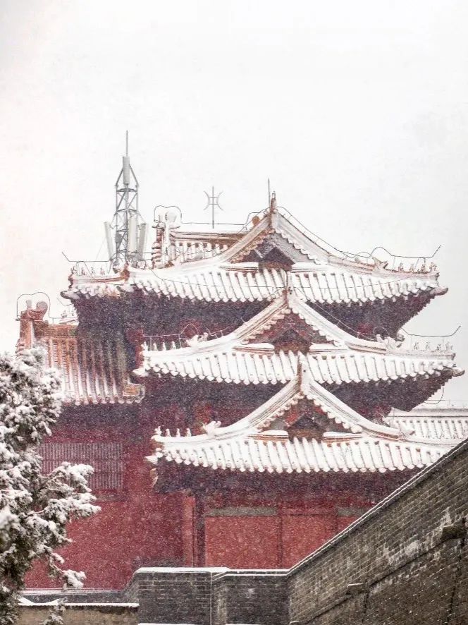 红墙黛瓦落白雪，感受岱庙千年岁月的沉淀