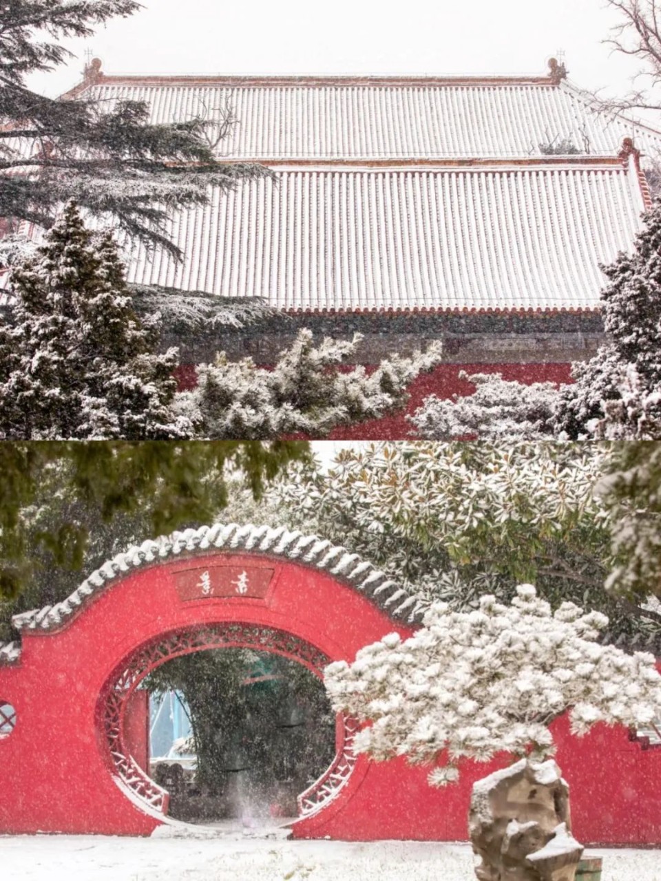 红墙黛瓦落白雪，感受岱庙千年岁月的沉淀