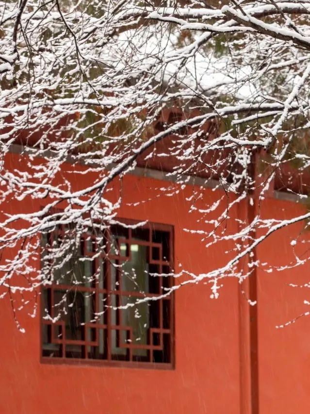 红墙黛瓦落白雪，感受岱庙千年岁月的沉淀