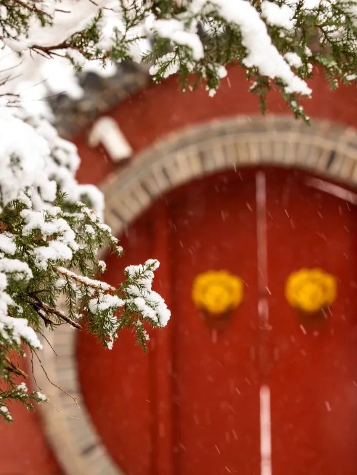 红墙黛瓦落白雪，感受岱庙千年岁月的沉淀