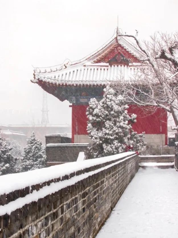 红墙黛瓦落白雪，感受岱庙千年岁月的沉淀