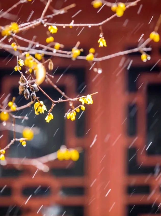 红墙黛瓦落白雪，感受岱庙千年岁月的沉淀