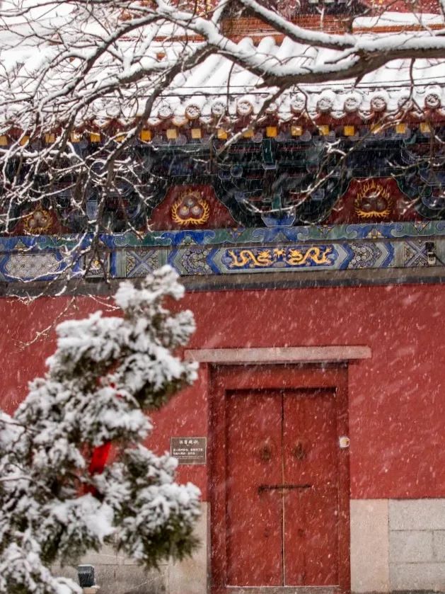 红墙黛瓦落白雪，感受岱庙千年岁月的沉淀
